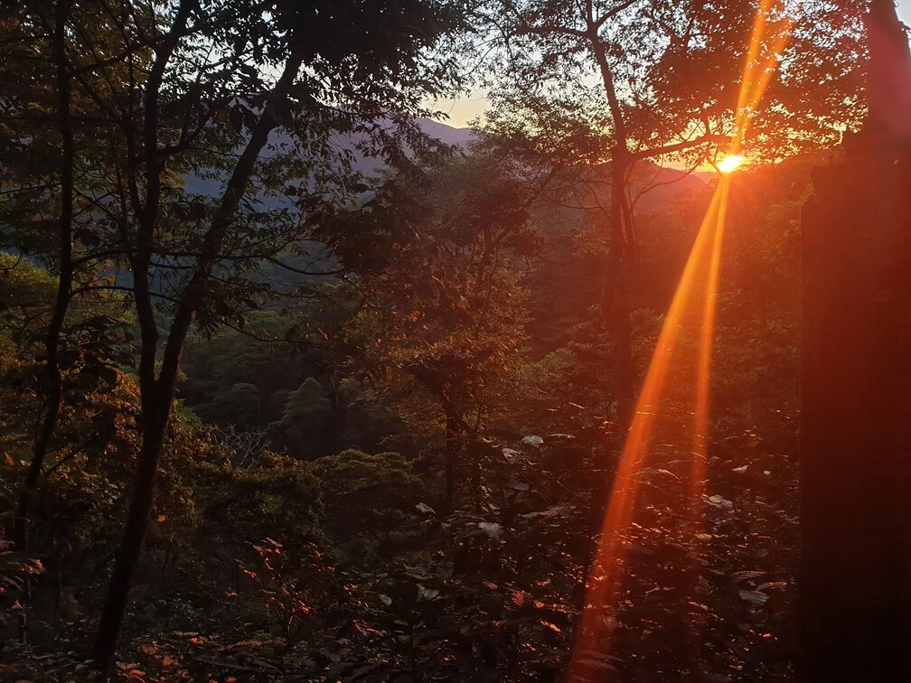 Meksika Santa Domingo