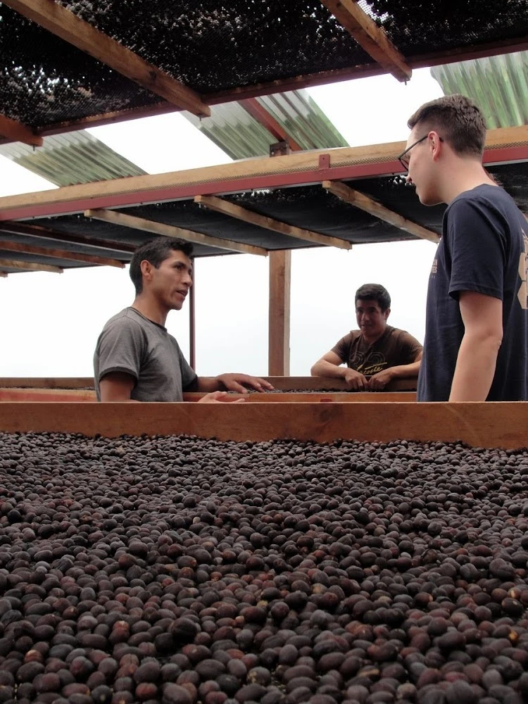 Peru Huabal Espresso